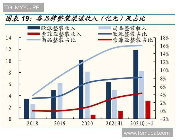 成都羽毛球队的战术解析与训练秘笈深度探讨